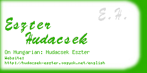 eszter hudacsek business card